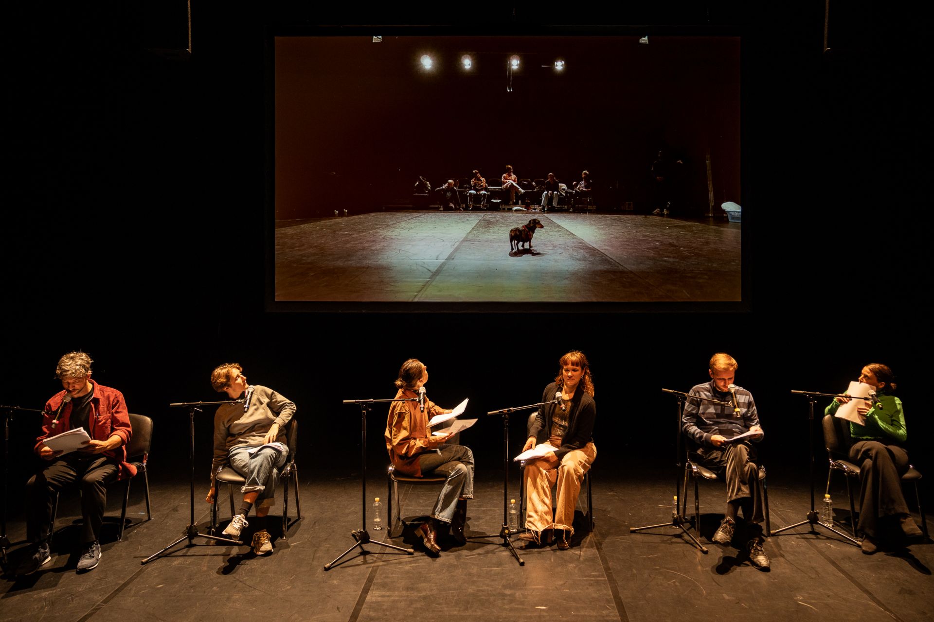 Skats no "Theaterhaus Jena" izrādes “Suņa kaku uzbrukums” ("Die Hundekot-Attacke") // Foto – Joachim Dette
