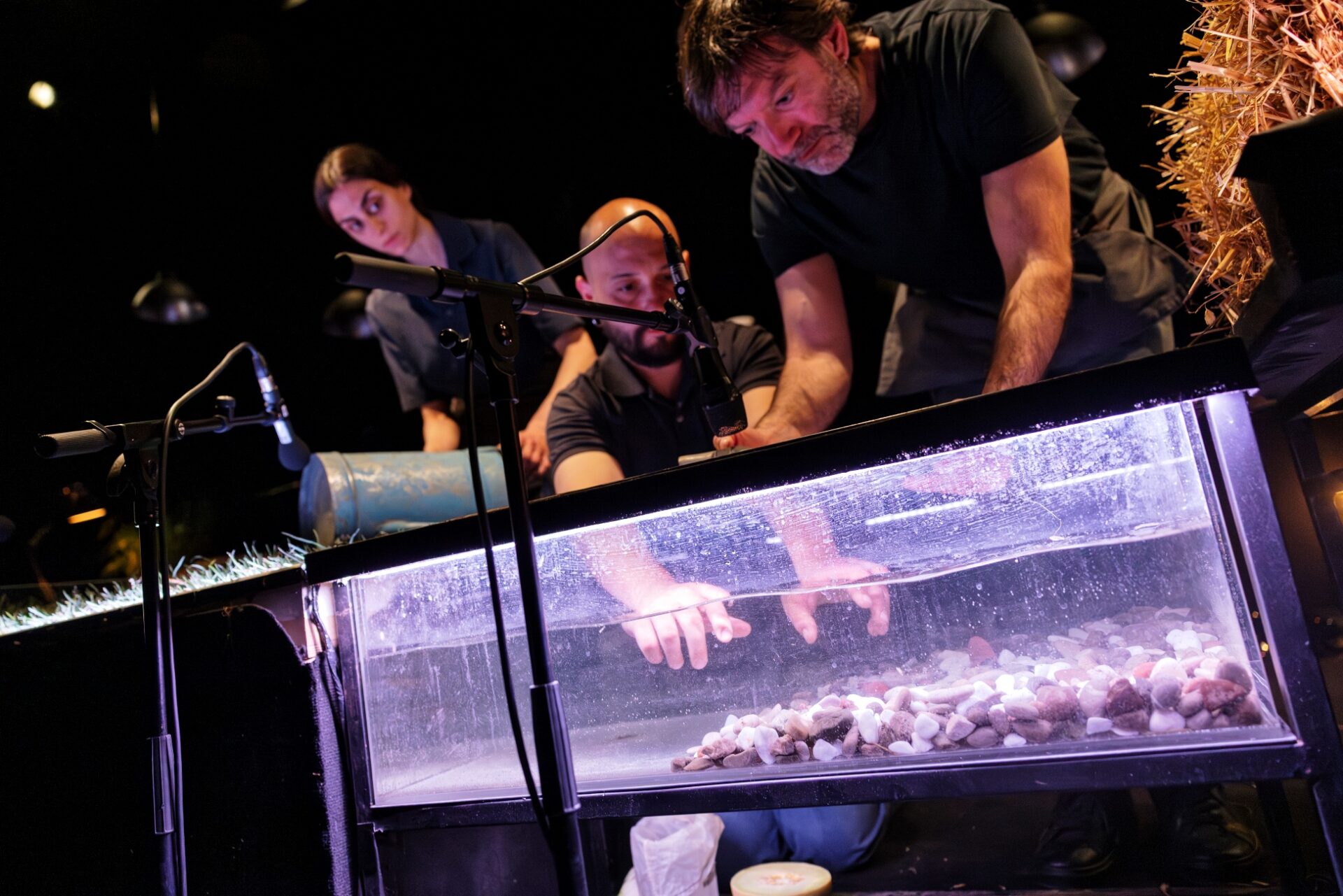 Skats no teātra Schaubühne am Lehniner Platz izrādes "Cow/Deer" (rež. Keitija Mičela) // Foto – Gianmarco Bresadola